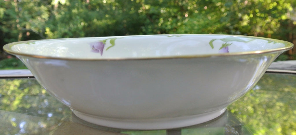 Vintage PT Tirschenreuth Bavarian Bowl Hand Painted and Signed By Artist