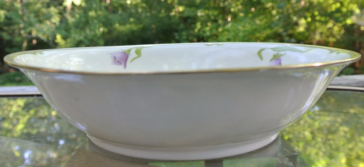 Vintage PT Tirschenreuth Bavarian Bowl Hand Painted and Signed By Artist