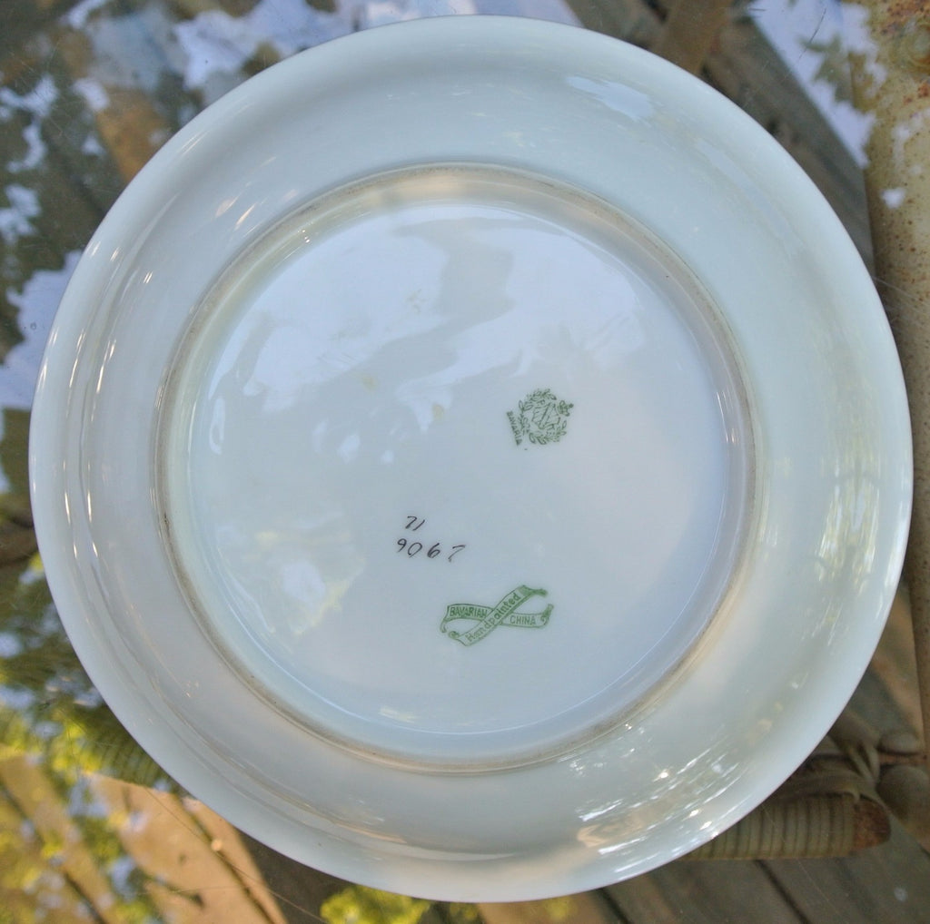 Vintage PT Tirschenreuth Bavarian Bowl Hand Painted and Signed By Artist