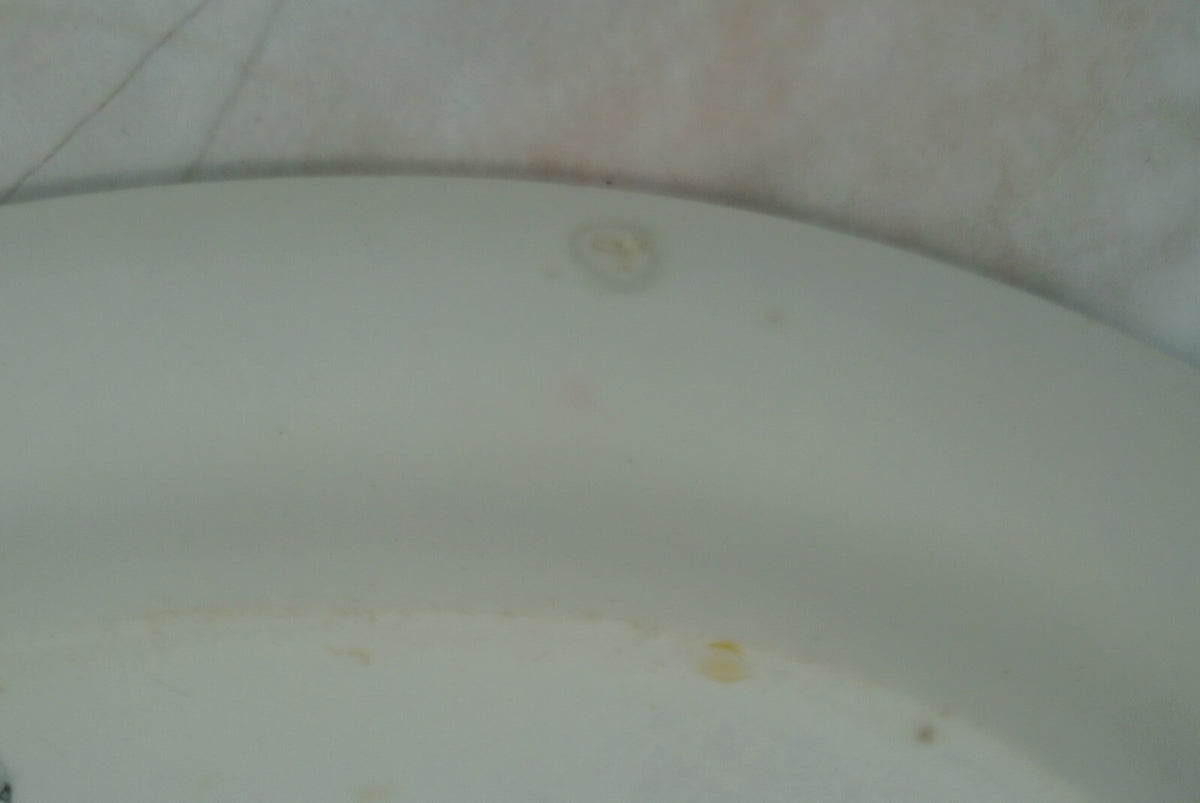 Antique Ironstone Alfred Meakin England White Oval Platter  13-1/2"