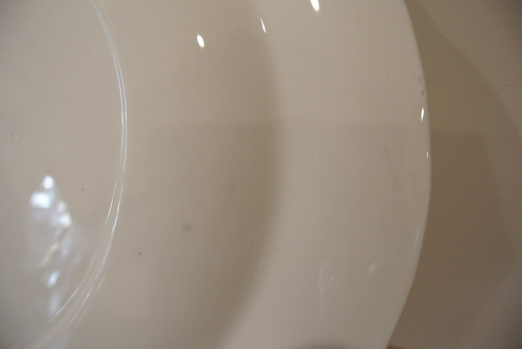 Copelands Grosvenor China Dirigo Chicago Serving  Platter 16-3/4" Long