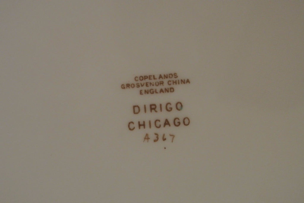 Copelands Grosvenor China Dirigo Chicago Serving  Platter 16-3/4" Long