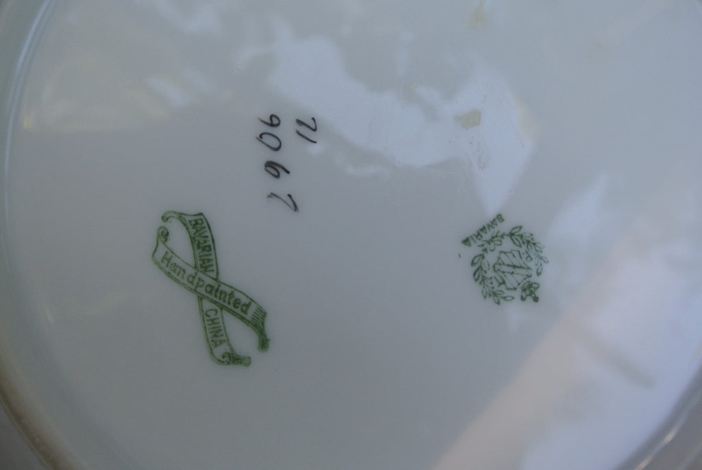 Vintage PT Tirschenreuth Bavarian Bowl Hand Painted and Signed By Artist