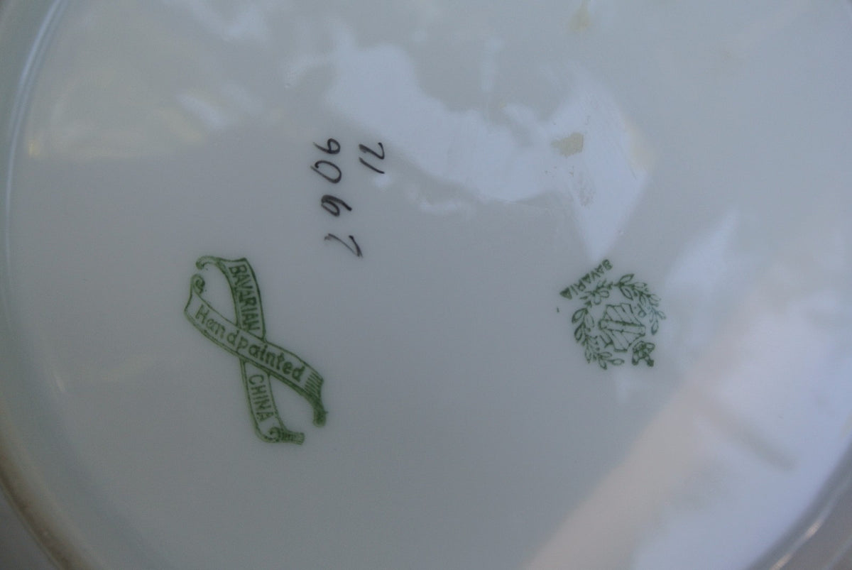 Vintage PT Tirschenreuth Bavarian Bowl Hand Painted and Signed By Artist