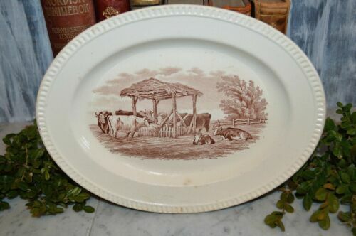 Copelands Grosvenor China Dirigo Chicago Serving  Platter 16-3/4" Long