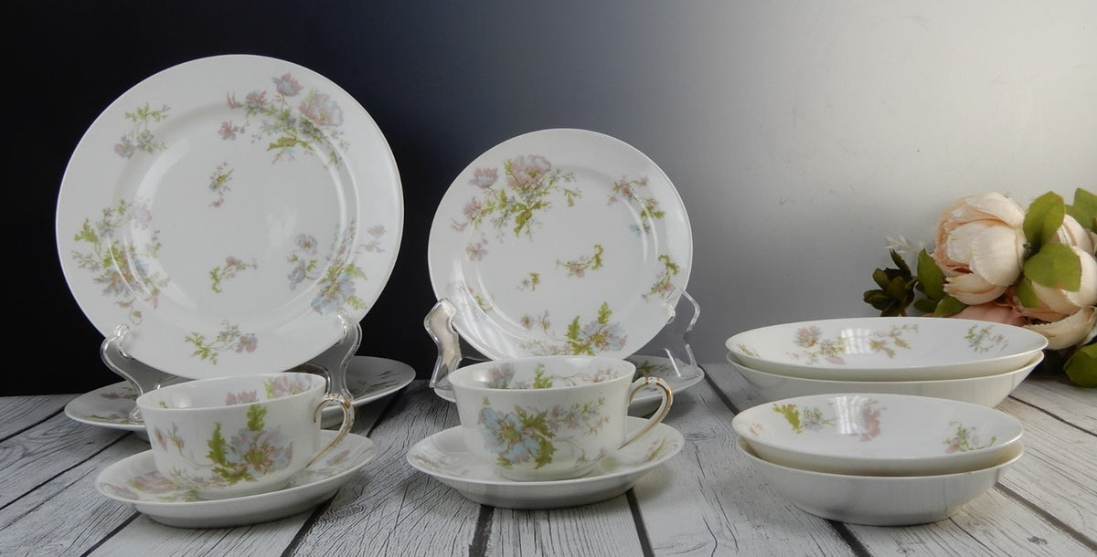 12 Pc 6-Piece 2 Place Setting Haviland Limoges Schleiger 79