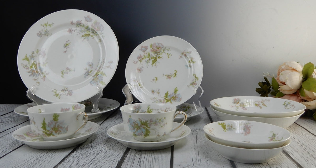 12 Pc 6-Piece 2 Place Setting Haviland Limoges Schleiger 79