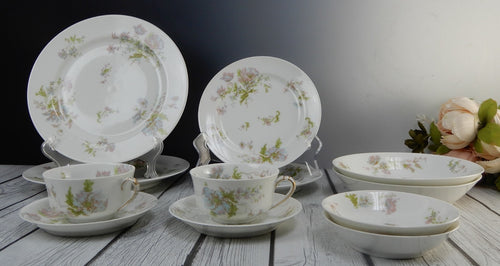 12 Pc 6-Piece 2 Place Setting Haviland Limoges Schleiger 79