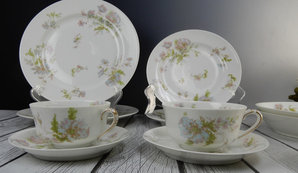12 Pc 6-Piece 2 Place Setting Haviland Limoges Schleiger 79