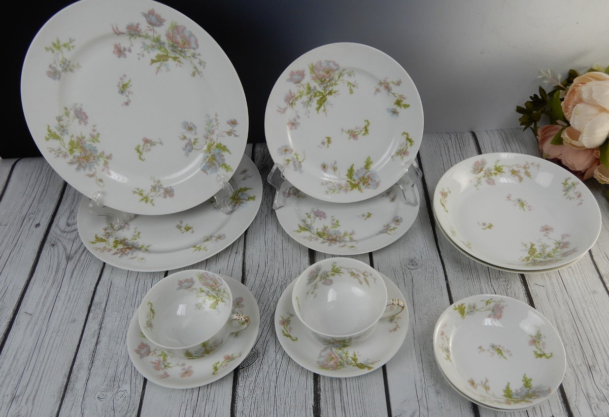 12 Pc 6-Piece 2 Place Setting Haviland Limoges Schleiger 79