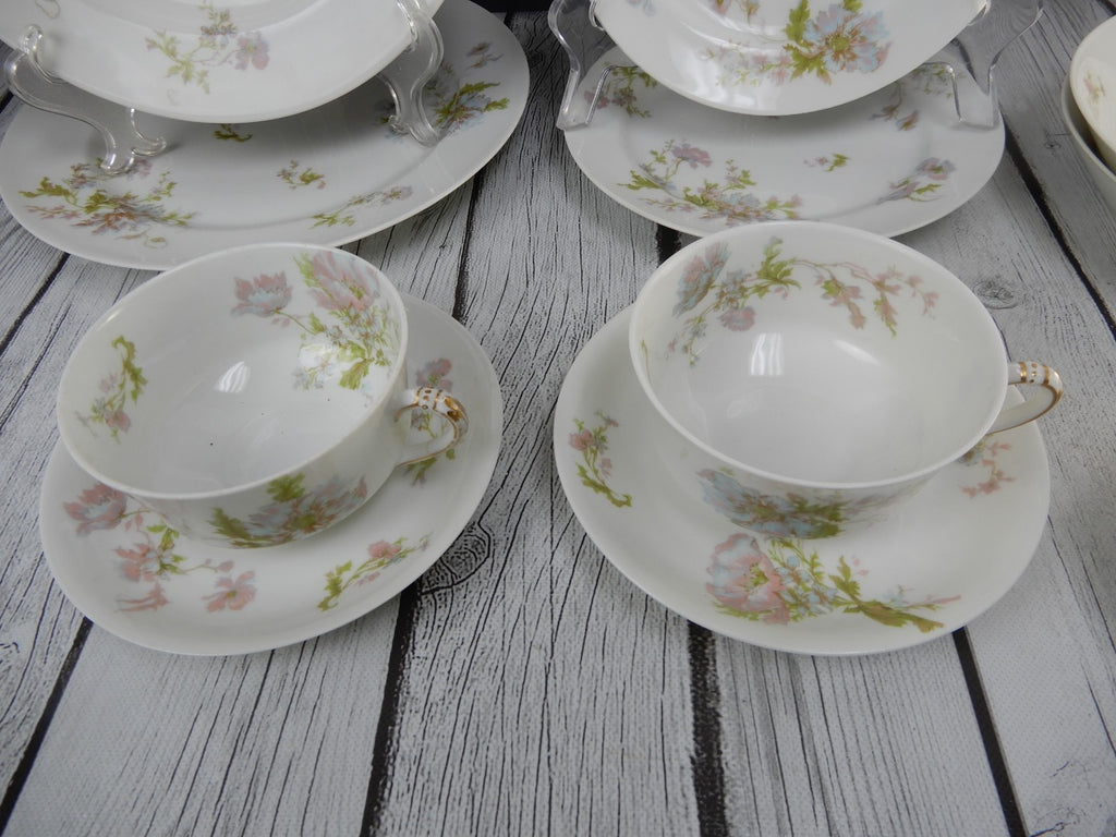 12 Pc 6-Piece 2 Place Setting Haviland Limoges Schleiger 79