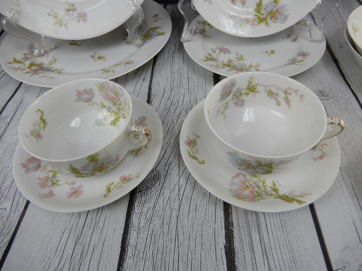 12 Pc 6-Piece 2 Place Setting Haviland Limoges Schleiger 79