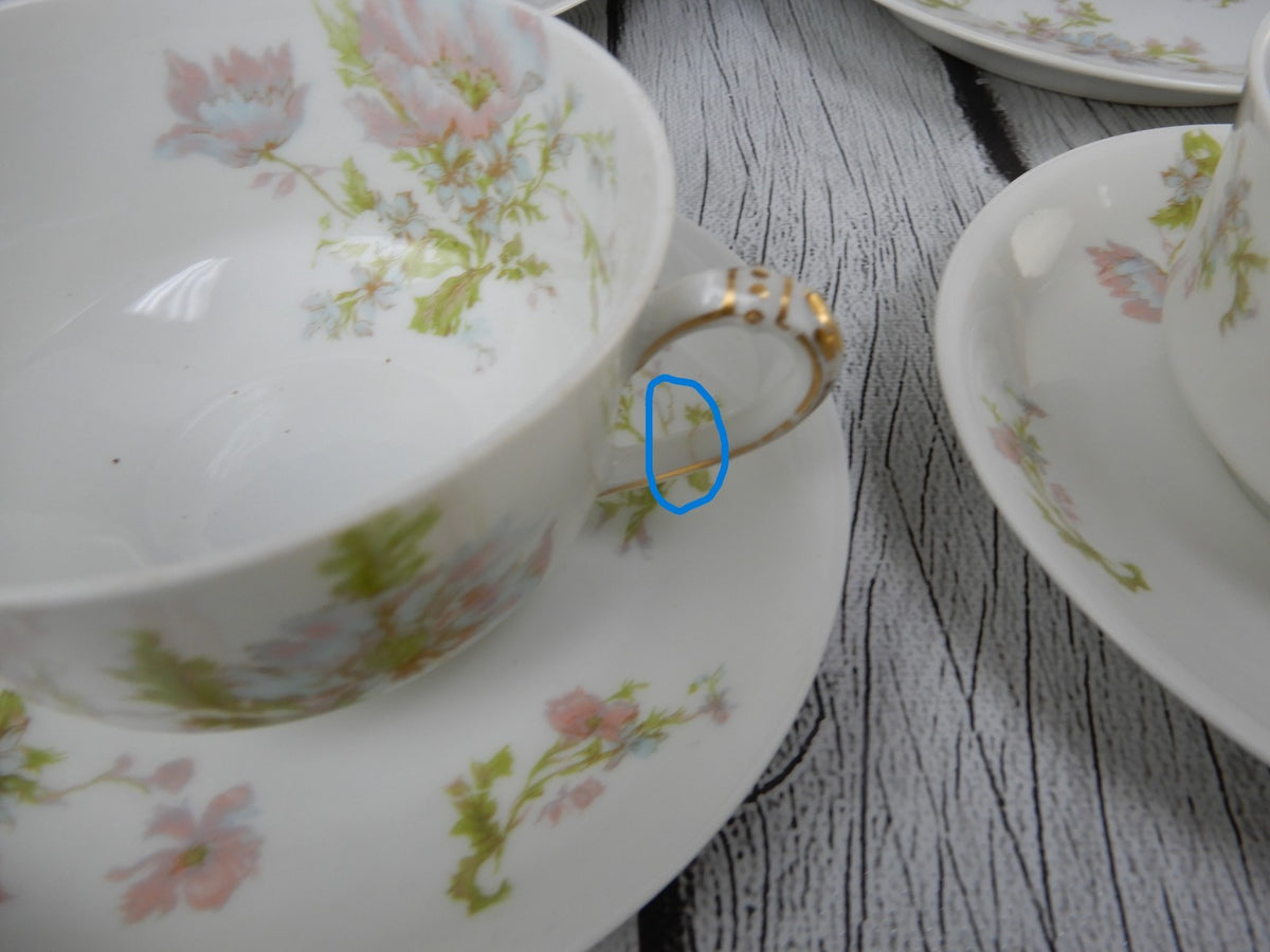 12 Pc 6-Piece 2 Place Setting Haviland Limoges Schleiger 79