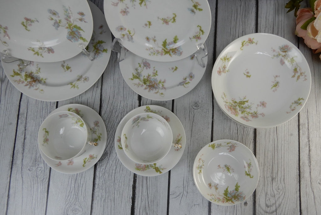12 Pc 6-Piece 2 Place Setting Haviland Limoges Schleiger 79