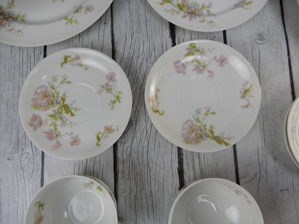 12 Pc 6-Piece 2 Place Setting Haviland Limoges Schleiger 79