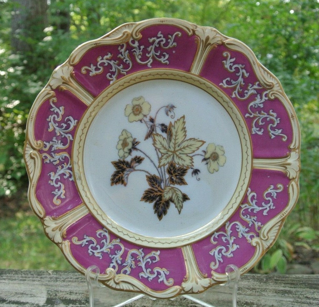 Antique S.K.&G HANLEY "PARISIAN Ironstone 9-1/2" Plate "C"