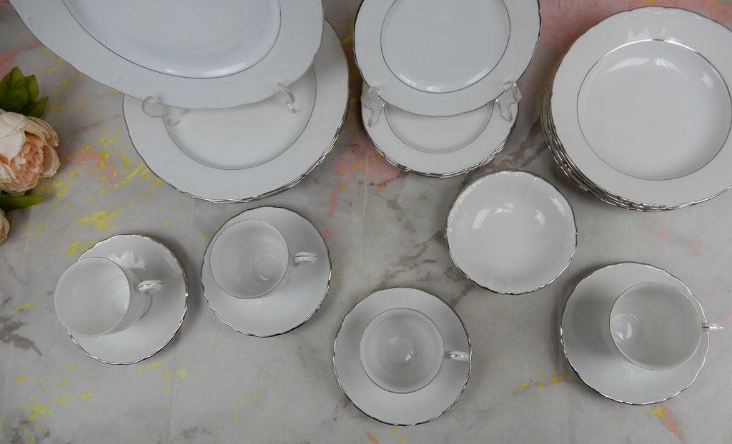 Vintage 24 Piece Fine Bohemian China Czechoslovakia "Contesa"~ 4 Place Setting