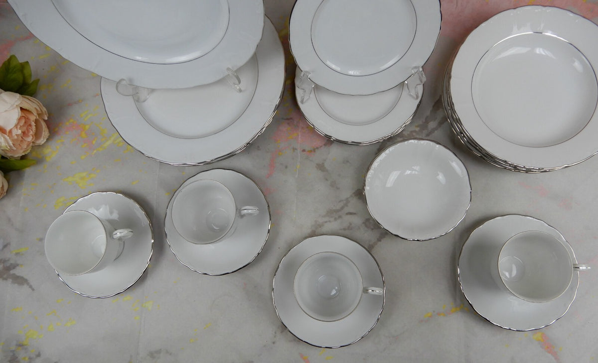 Vintage 24 Piece Fine Bohemian China Czechoslovakia "Contesa"~ 4 Place Setting