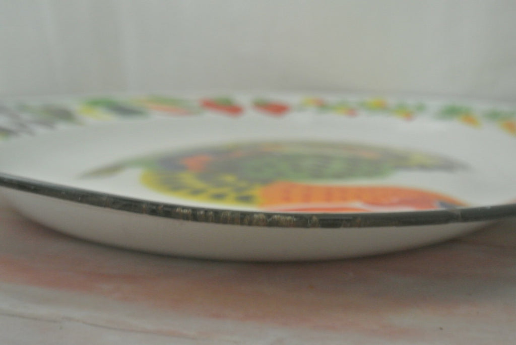 Vintage Thanksgiving Enamelware Turkey Platter 17-5/8" Long
