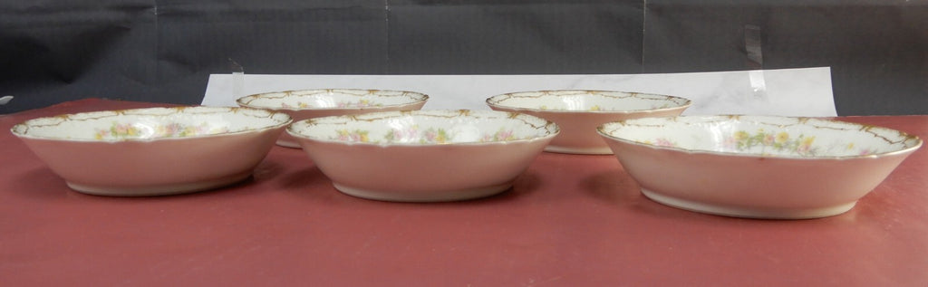 Haviland Limoges France Schleiger 475e Hand Painted Five Fruit Desert Bowls Set