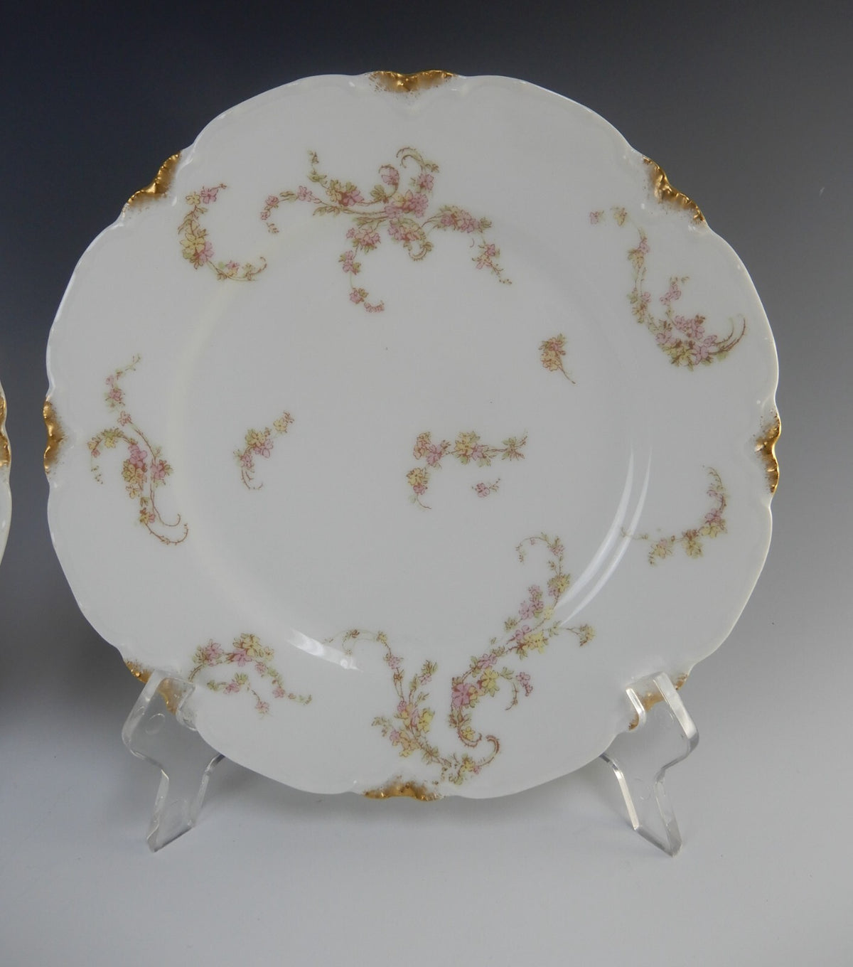 Set of 2 Pc. Haviland Limoges Norma Schleiger #233A Norma Luncheon Plates 8-1/2"