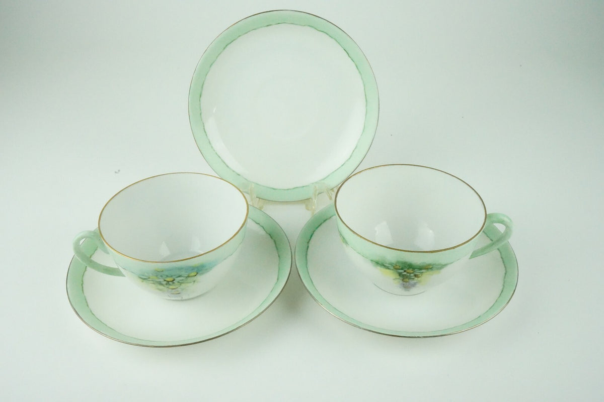 C. Tielsch Altwasser Silesia  Set of Two Vintage Light Green Floral Tea Cups