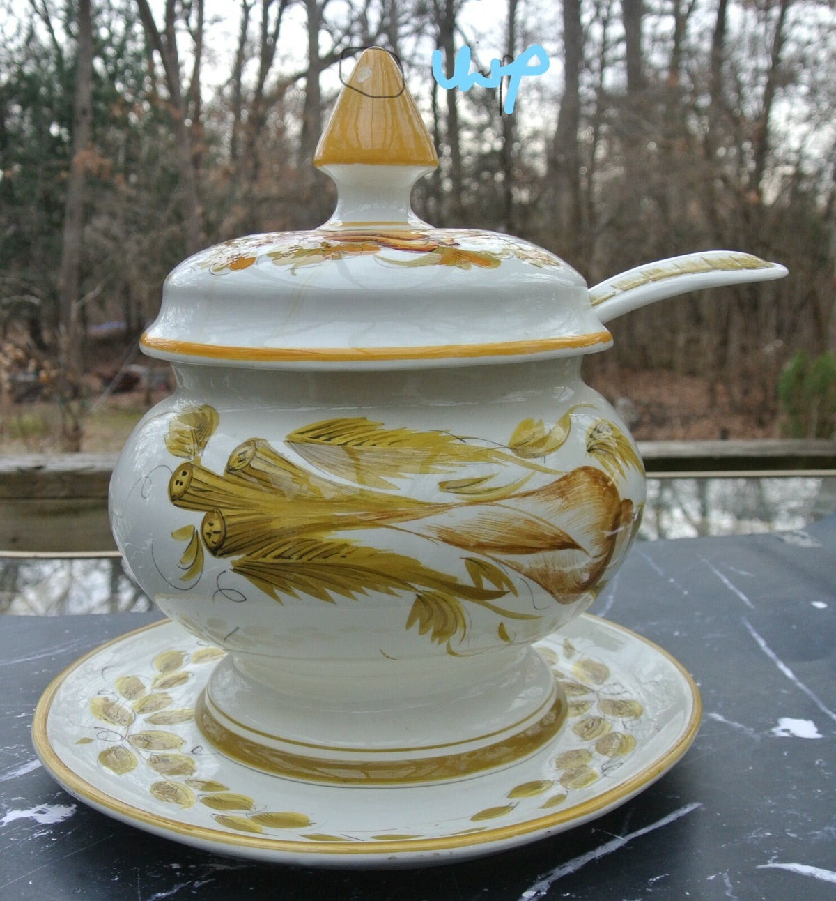 Vintage Italian Yellow Ceramic Tureen with Platter & Ladle Hand Painted