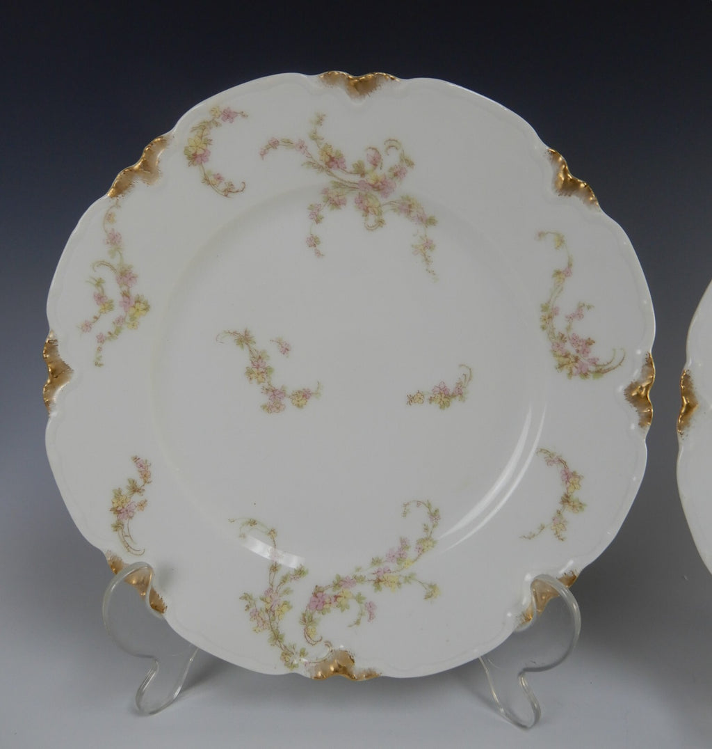 Set of 2 Pc. Haviland Limoges Norma Schleiger #233A Norma Luncheon Plates 8-1/2"
