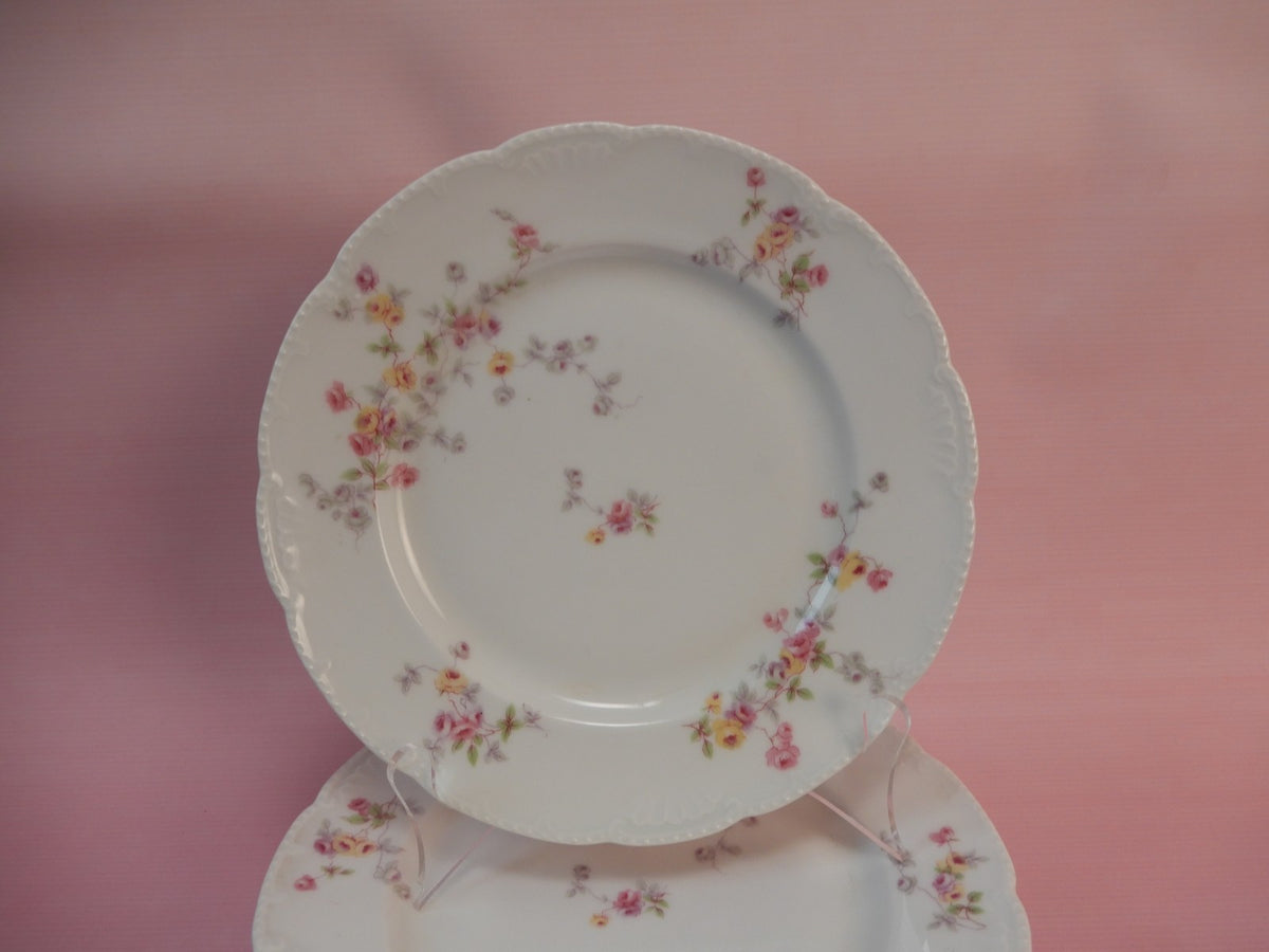 Set of 6 Bassett Limoges Austria "5789" Pattern 8-1/2" Salad Plates