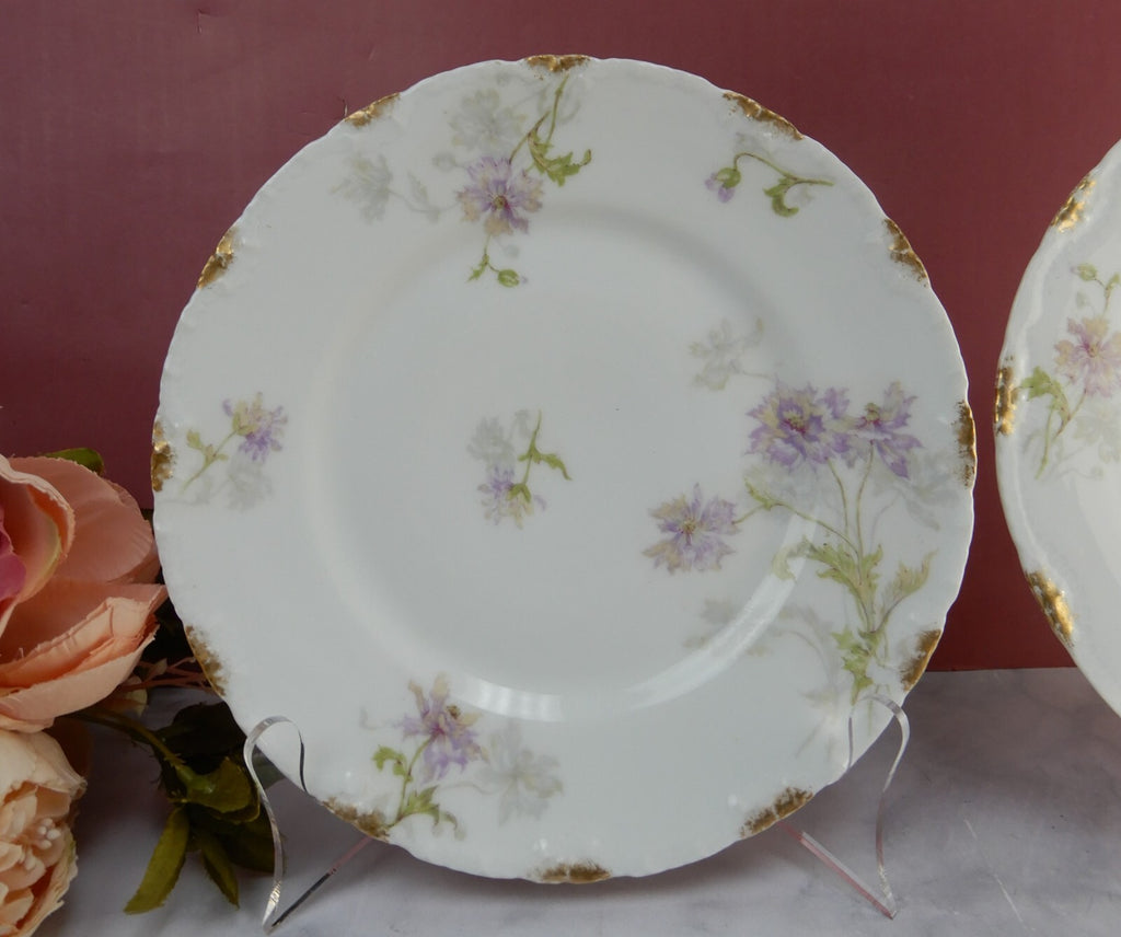 Vintage Theodore Haviland Limoges Porcelain Set of Two 8" Salad Plates