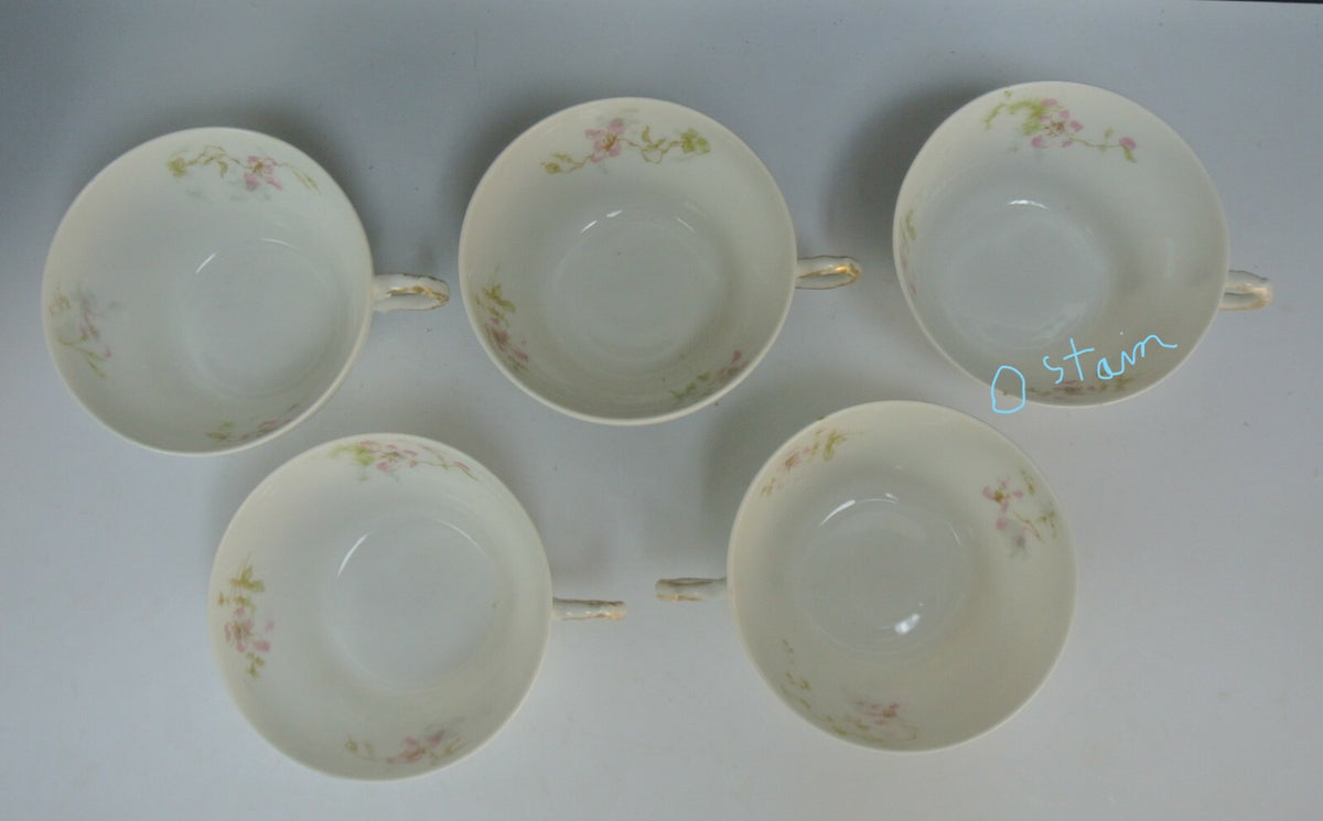Theodore Haviland Limoges France Set of 5~ Cups No Saucers