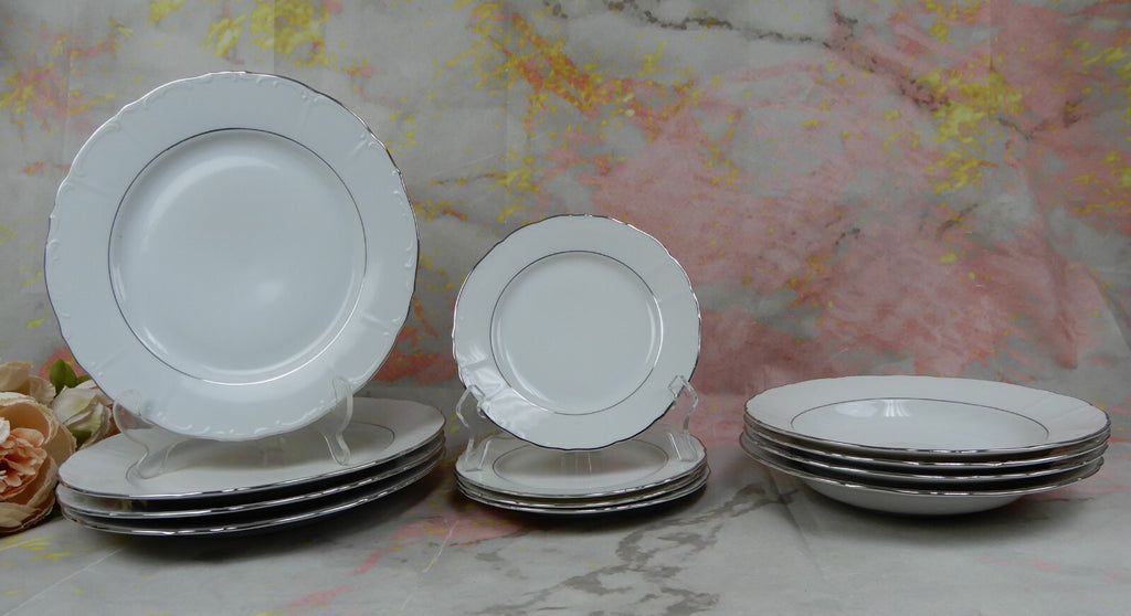 Vintage 24 Piece Fine Bohemian China Czechoslovakia "Contesa"~ 4 Place Setting