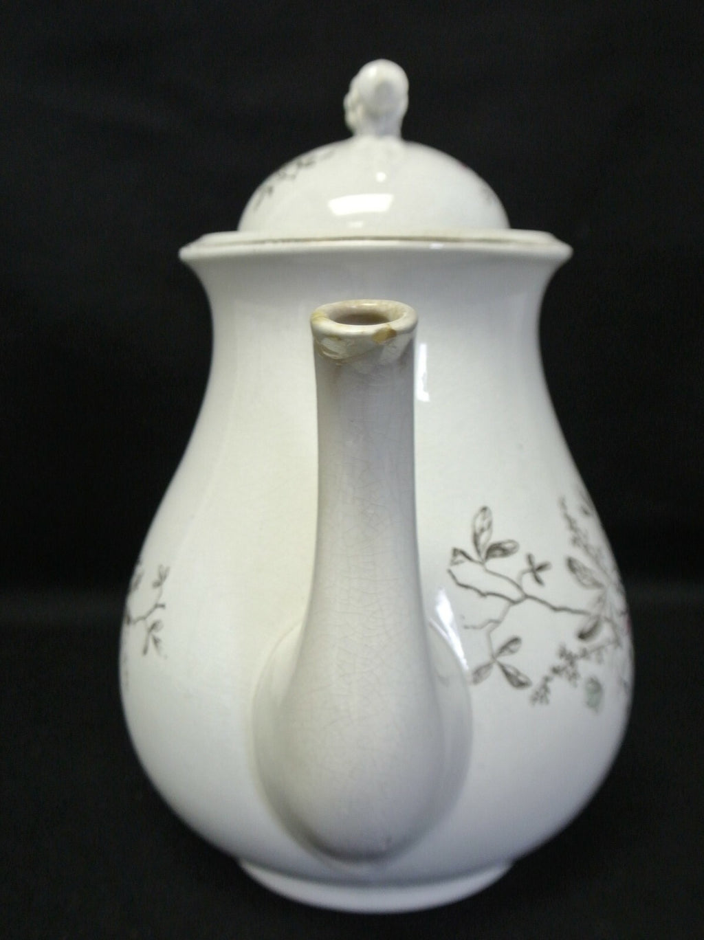 Antique Etruria Pottery (Ott & Brewer) of Trenton, N.J Coffee/Tea Pot