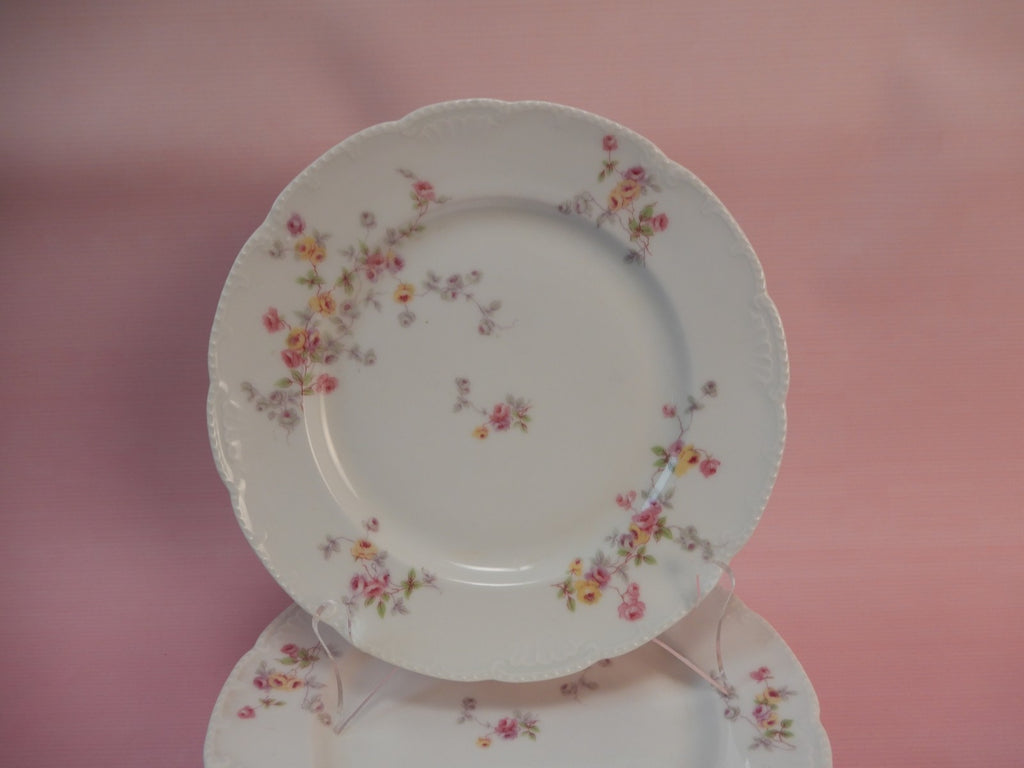 Set of 5 Bassett Limoges Austria "5789" Pattern 8-1/2" Salad Plates