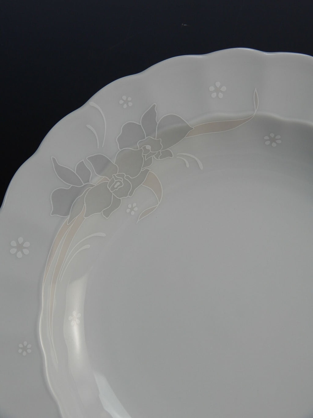 5 Piece Eschenbach Porzellan Toledo Orchid Decor 2665 Coupe Soup Bowls