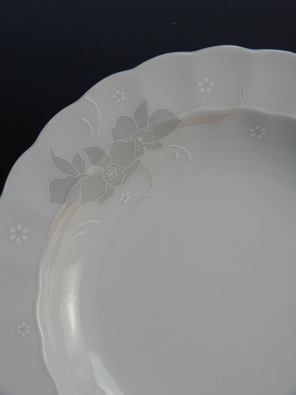 5 Piece Eschenbach Porzellan Toledo Orchid Decor 2665 Coupe Soup Bowls