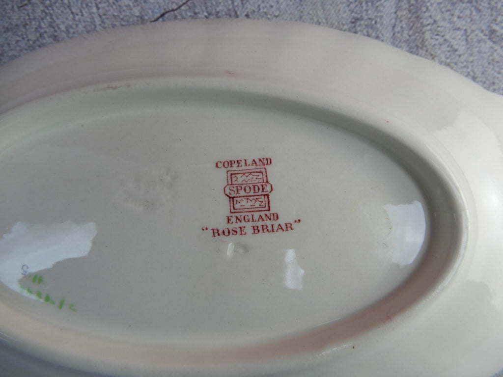 Vintage Copeland Spode Rose Briar Pattern Relish Dish Made In England