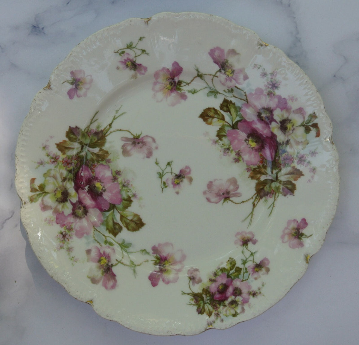 Lot of 5 Decorative Plates with Different Sizes and Brands