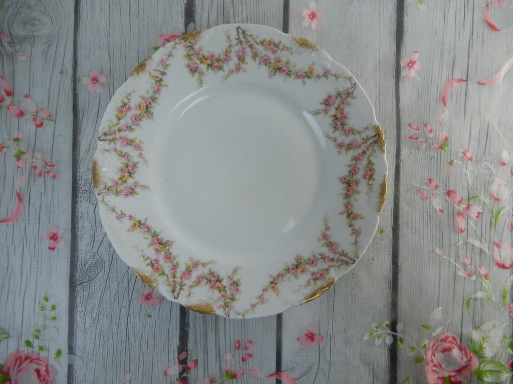 12 Piece Antique Theodore Haviland Limoges Schleiger 145 with Chips