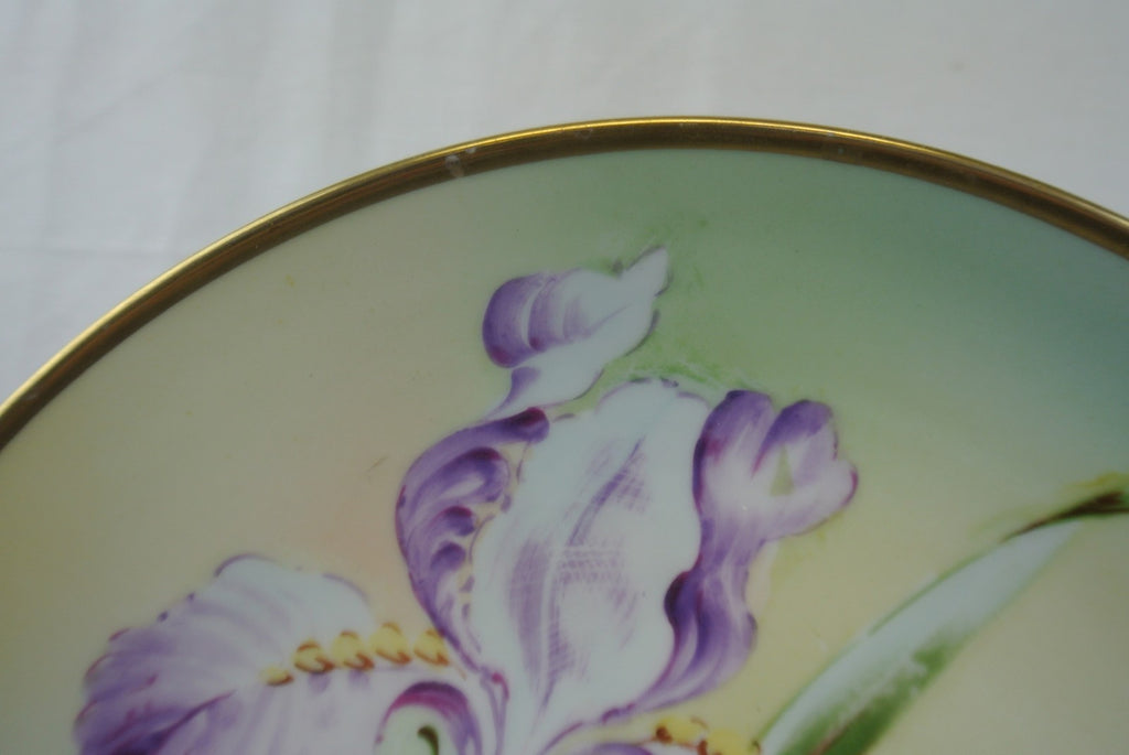 Royal Vienna Hand Painted Signed Cabinet Plate Bavaria Z.S.Co  11-1/2"