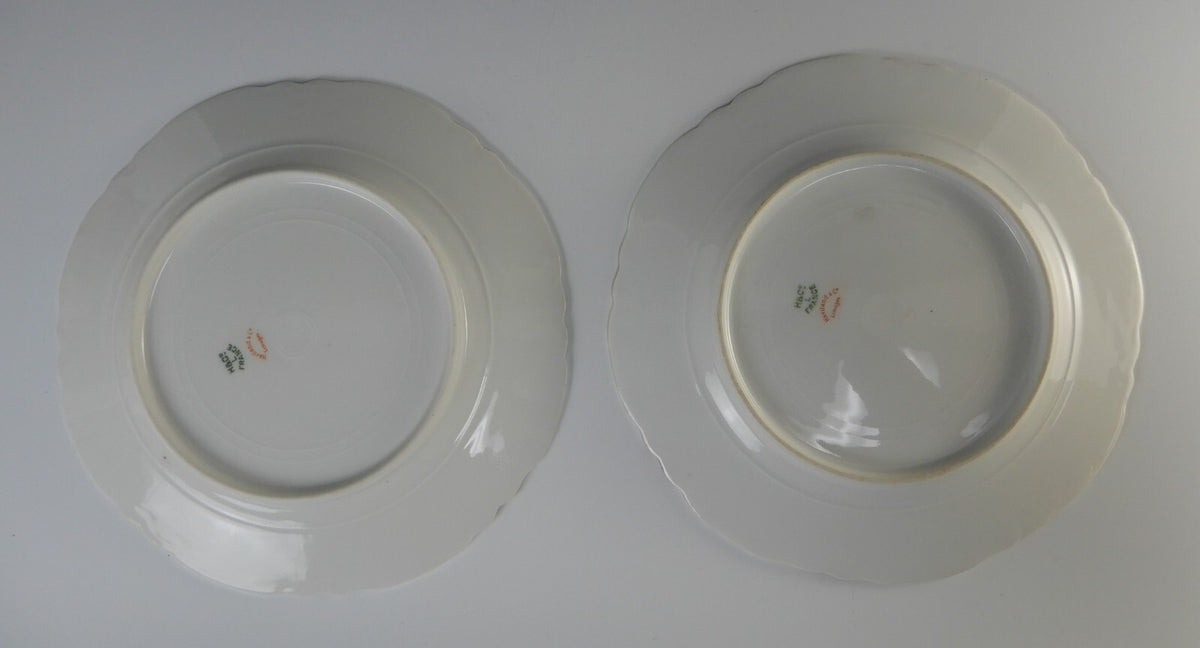 Set of 2 Pc. Haviland Limoges Norma Schleiger #233A Norma Luncheon Plates 8-1/2"