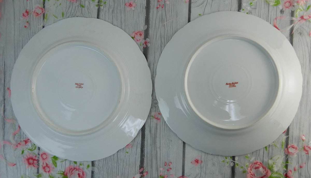 12 Piece Antique Theodore Haviland Limoges Schleiger 145 with Chips