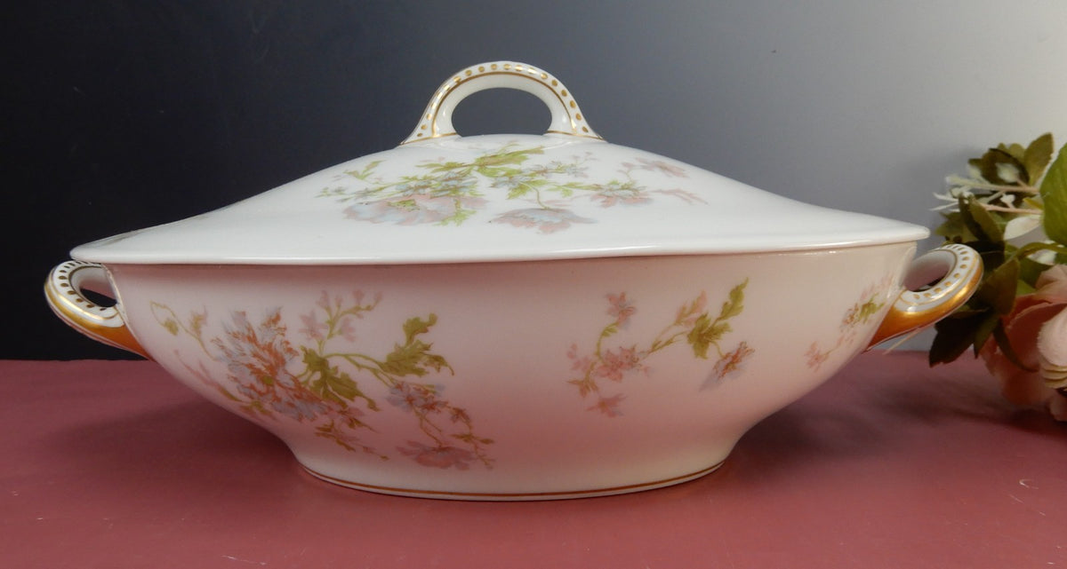 Theodore Haviland Limoges Schleiger 79~ Lidded Oval Serving Bowl