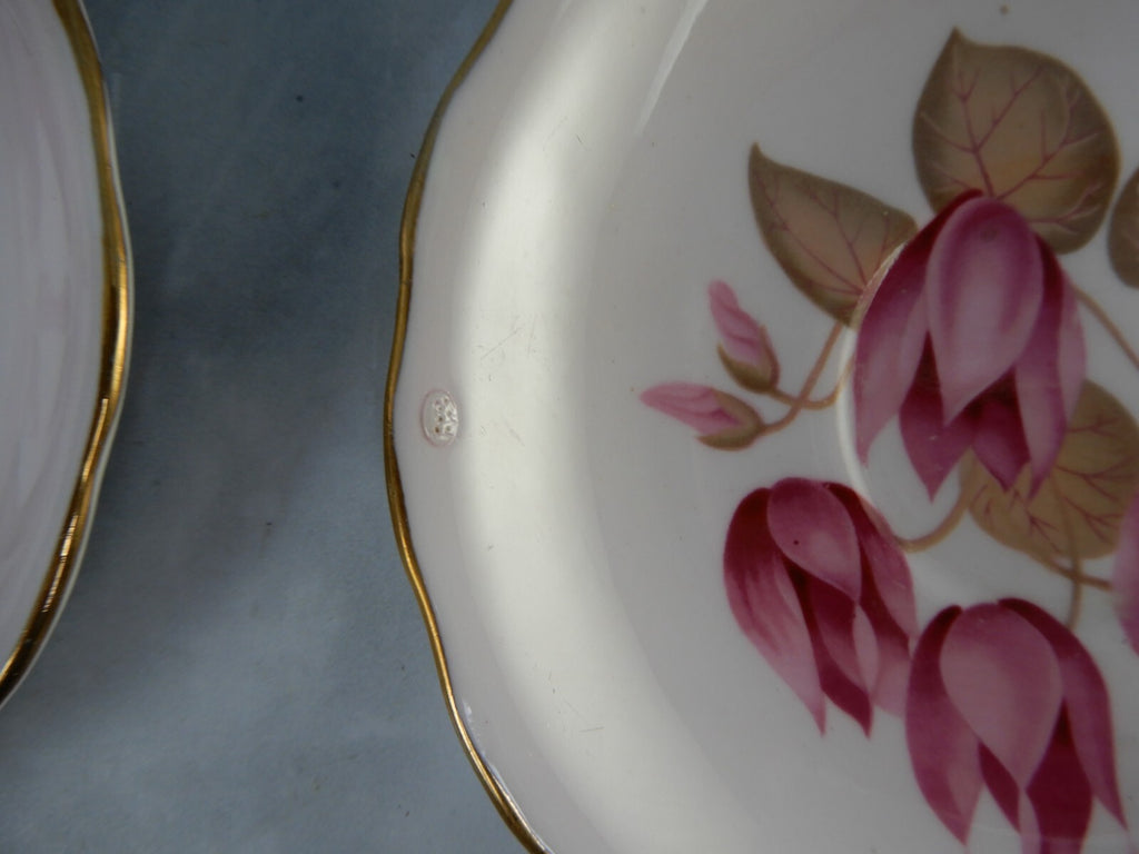 Set of 3 Colclough Bone China Pink Color Water Lily Teacups & Saucers