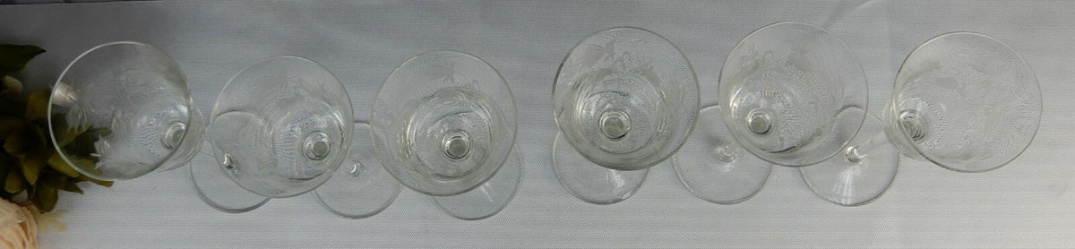 Set of 6  Elegant Etch Cordial Cocktail Glasses with Flowers