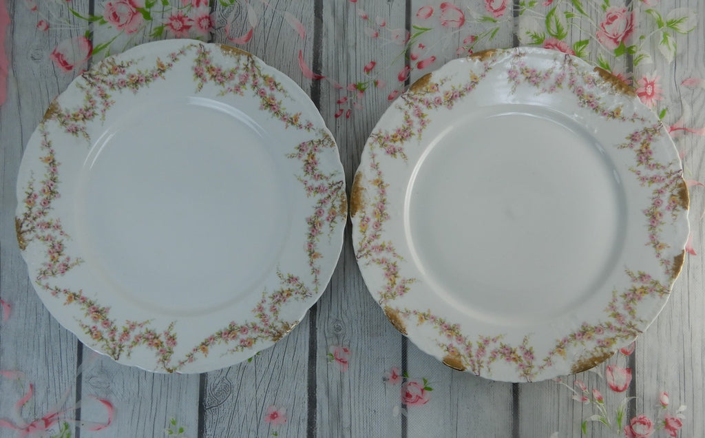 12 Piece Antique Theodore Haviland Limoges Schleiger 145 with Chips