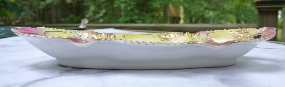 Antique RS Prussia Old Red Mark Floral Porcelain Celery Dish
