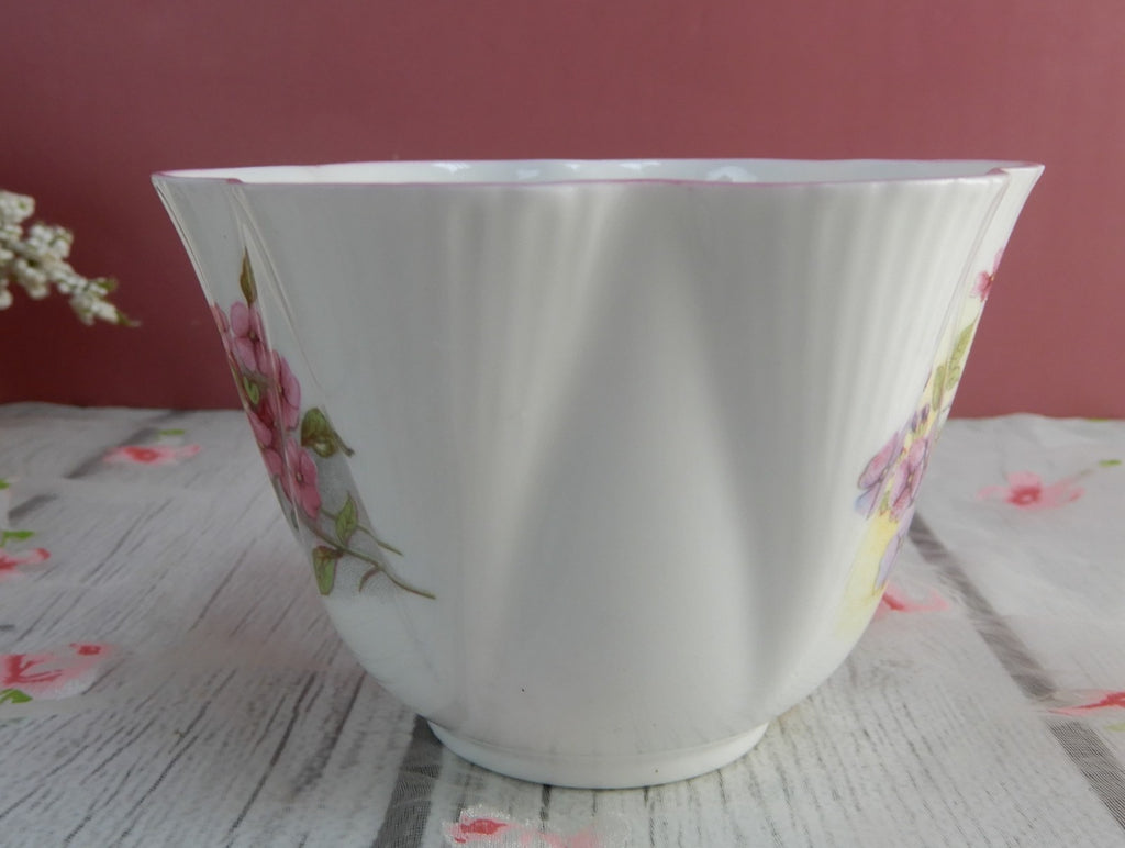 Vintage Shelley Dainty Shape "Stock" Pattern Orphan Cup