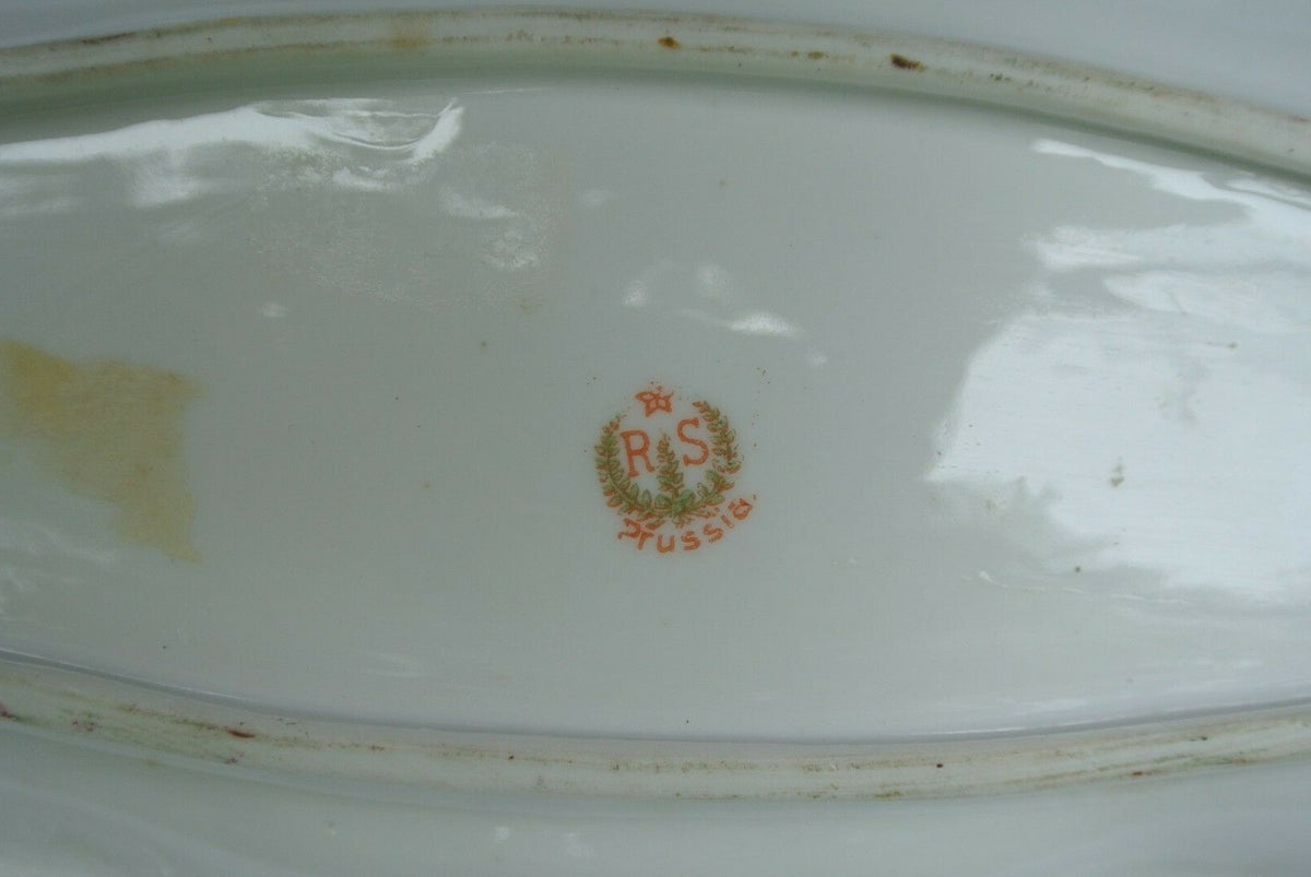 Antique RS Prussia Old Red Mark Floral Porcelain Celery Dish