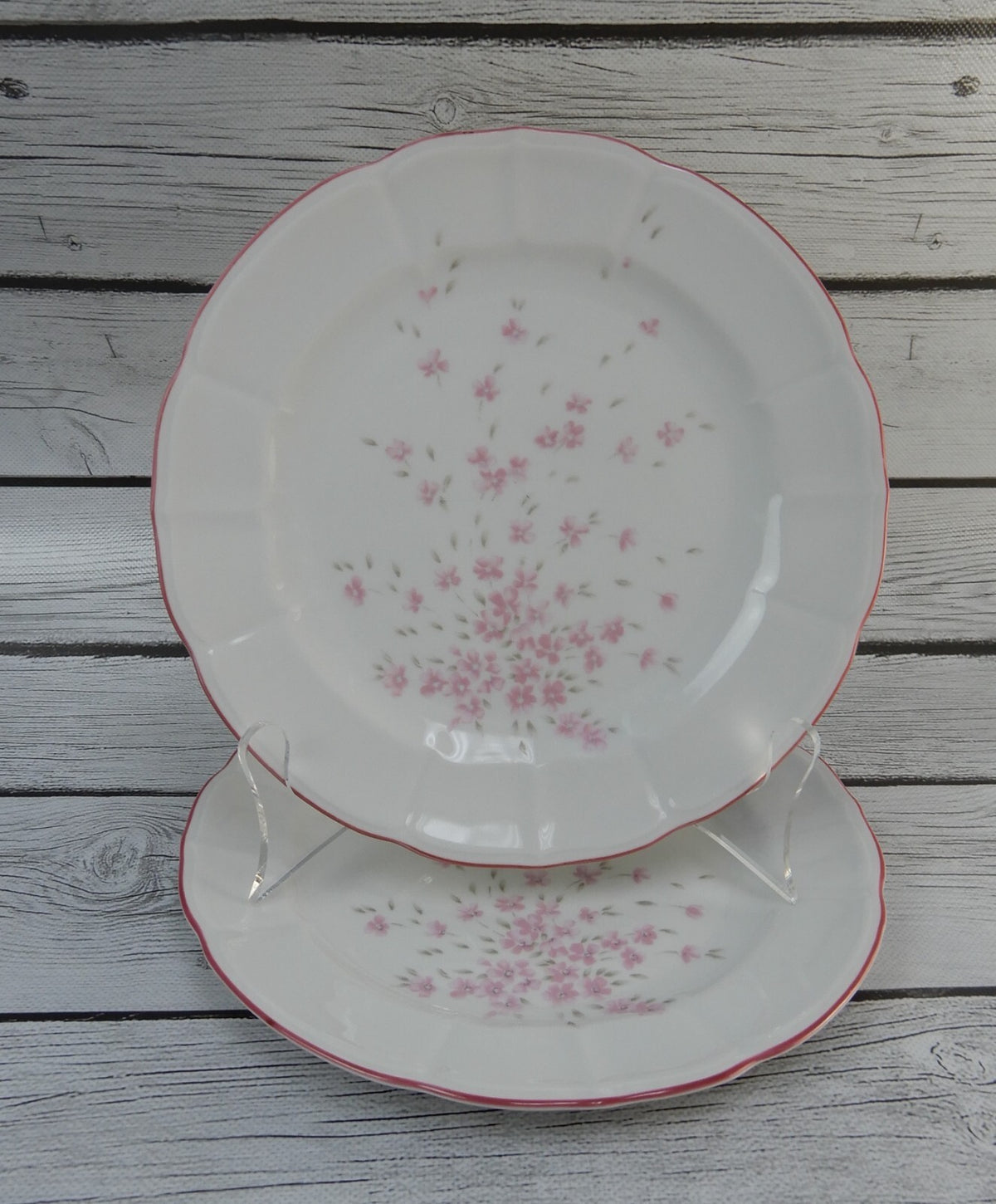 Set of 6 Schumann Arzberg Germany Bavaria Pink Floral Pink Rim Salad Plates
